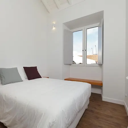 Jardim Camelias * Madalena (Azores)