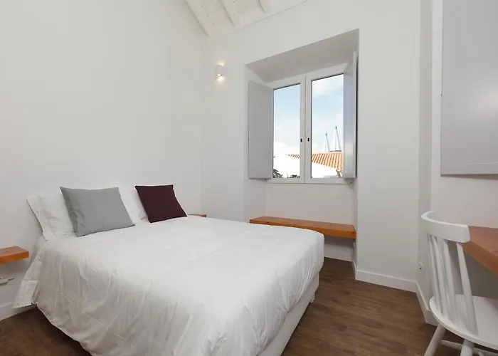 Jardim Camelias * Madalena (Azores)