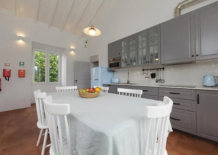 Jardim Camelias Albergue *